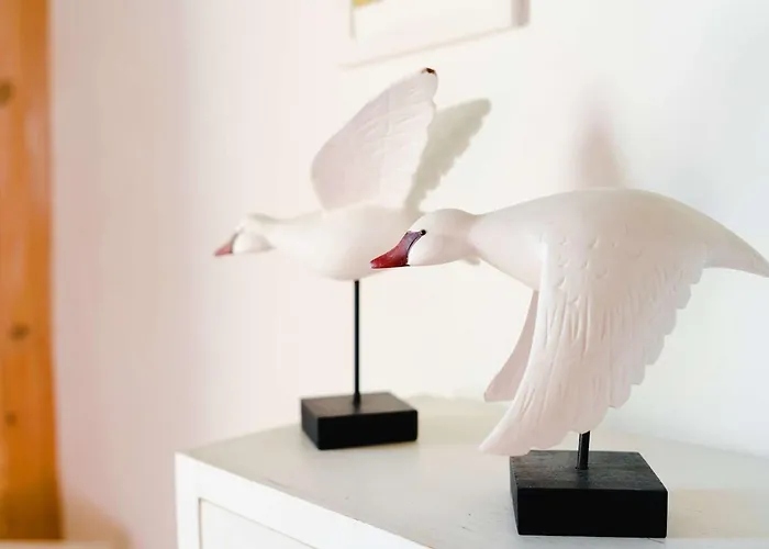 Maisonnette De Charme Au Coeur D'un Domaine Viticole, Pres De La - Narbonne-plage - Fr-1-409-178 * 나르본